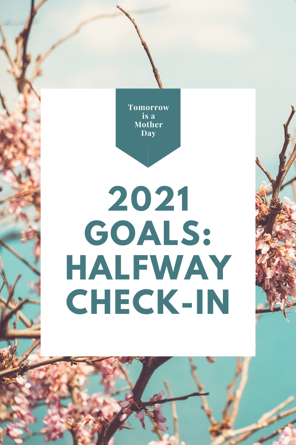 2021 Goals Check-In