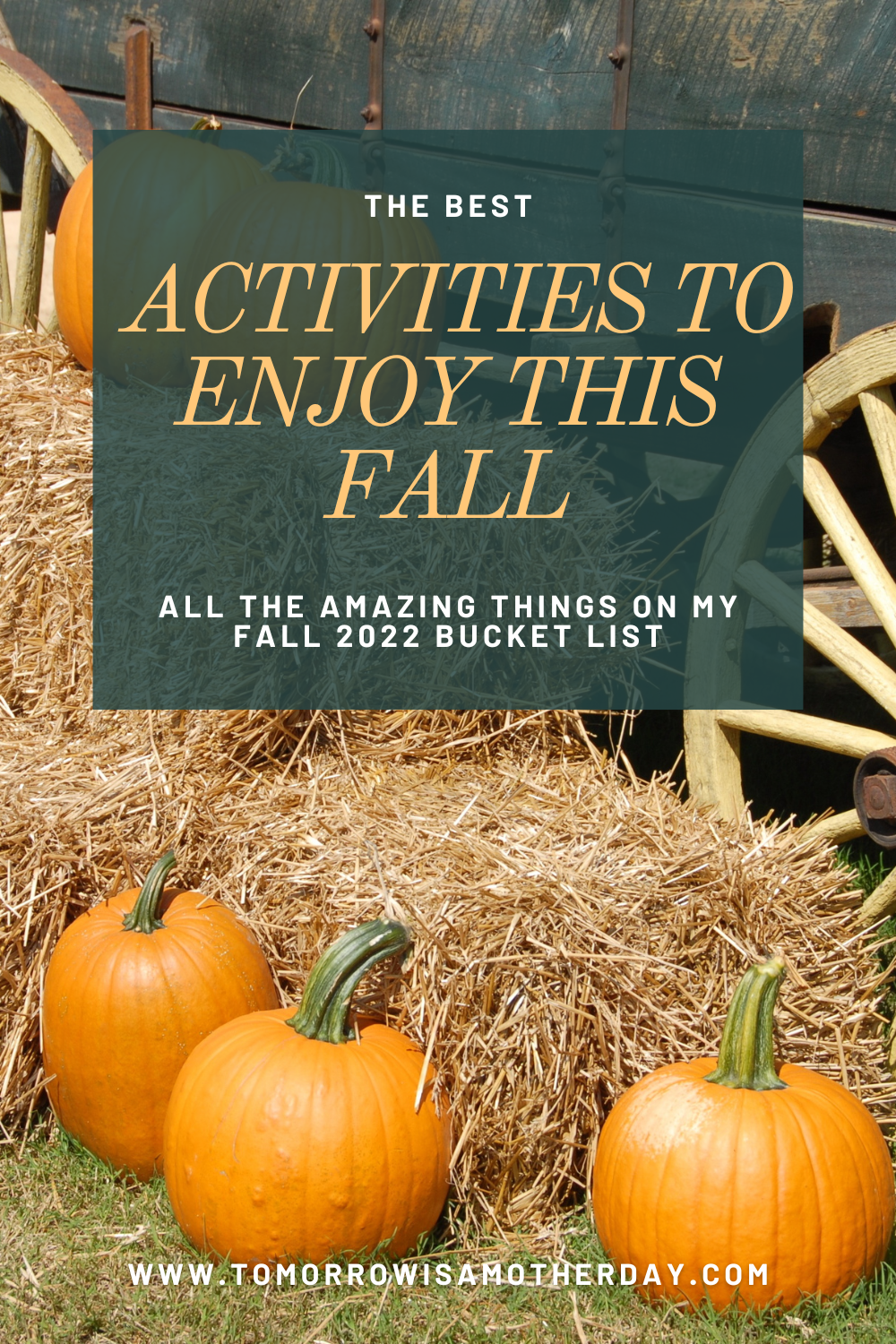The Best Fall Activities