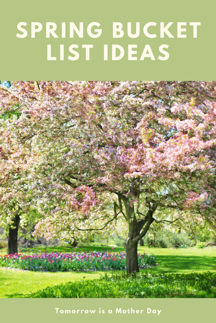 Spring Bucket List Ideas