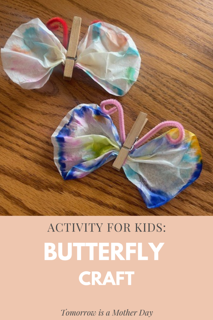 Butterfly Craft