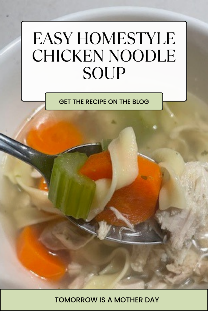 Homestyle Chicken Noodle Soup