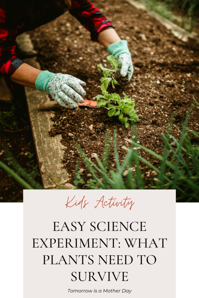 Easy Science Experiment